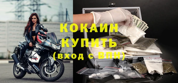 индика Алексеевка