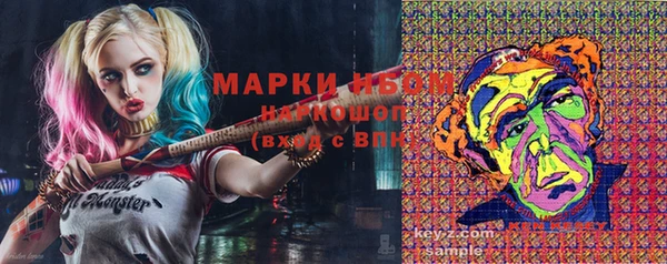 метадон Алексин