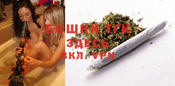 индика Алексеевка
