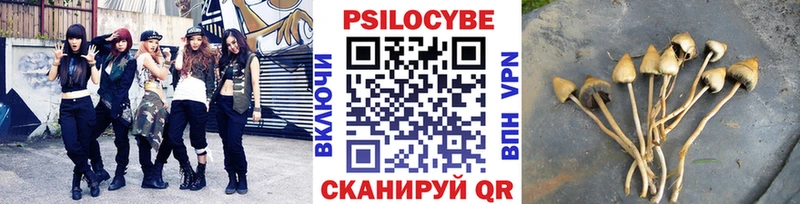 Псилоцибиновые грибы Magic Shrooms  Зуевка 